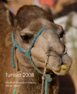 Tunisia 2008 book cover