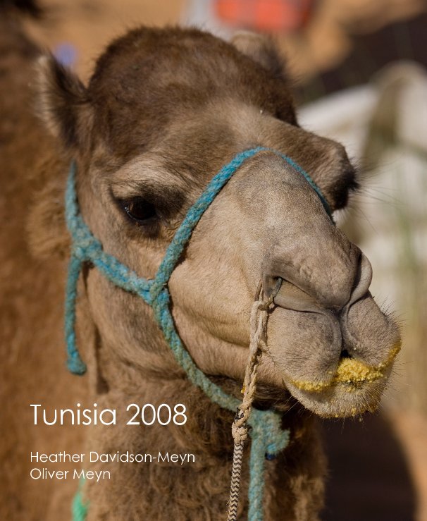 Tunisia 2008 nach Heather Davidson-Meyn and Oliver Meyn anzeigen