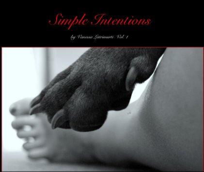 Simple Intentions book cover