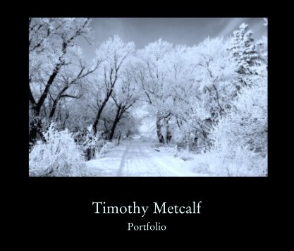 Timothy Metcalf book cover