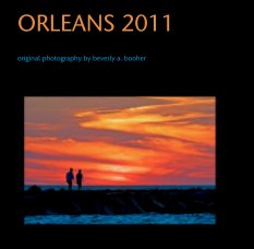 ORLEANS 2011 book cover