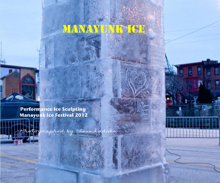 View Manayunk Ice by Steve Ladner