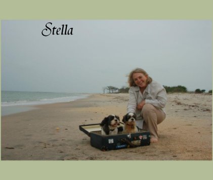 Stella book cover
