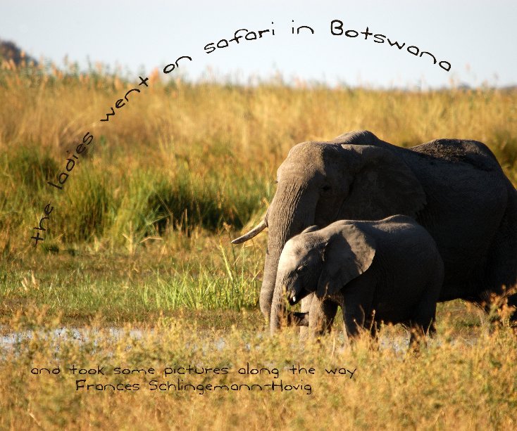 Bekijk the ladies went on safari in Botswana op Frances Schlingemann-Hovig