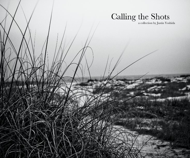 View Calling the Shots by Justin Yoshida