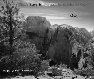 What's Black & White and Spectacular All Over? book cover