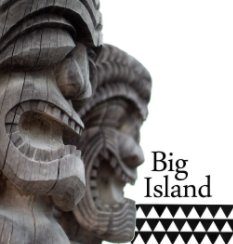 Big Island book cover