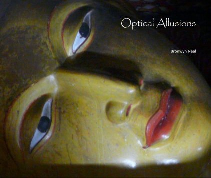 Optical Allusions book cover