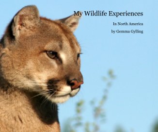 My Wildlife Experiences book cover