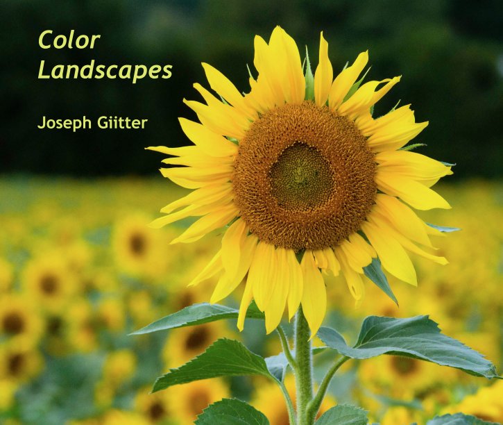 Bekijk Color
Landscapes

Joseph Giitter op Jgiitter