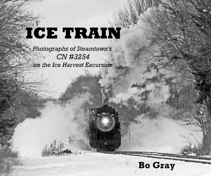 View ICE TRAIN by Bo Gray