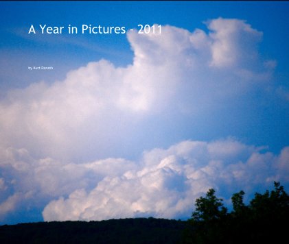 A Year in Pictures - 2011 book cover