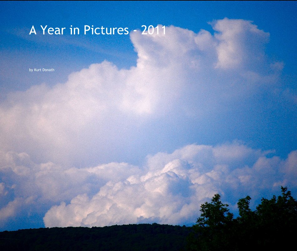 View A Year in Pictures - 2011 by Kurt Donath