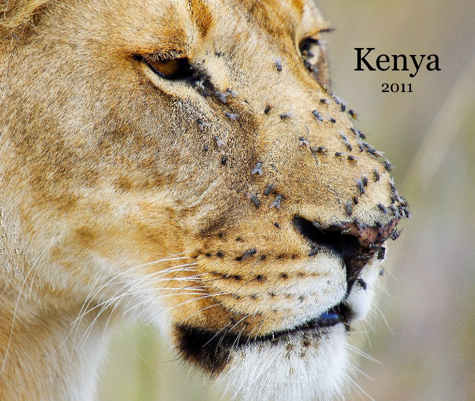 View Kenya 2011 by rdemarco