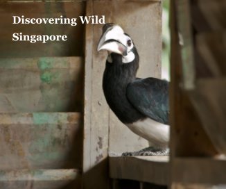 Discovering Wild Singapore book cover