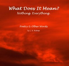 What Does It Mean? Nothing. Everything. book cover