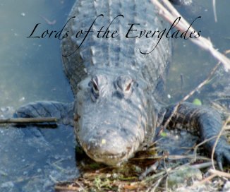 Lords of the Everglades book cover