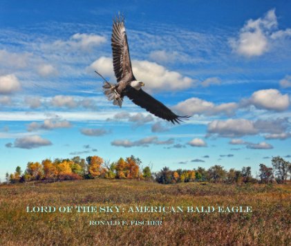Lord of the Sky: American Bald Eagle book cover