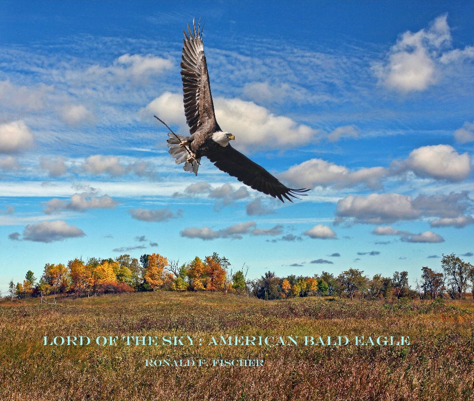 Lord of the Sky: American Bald Eagle nach Ronald F. Fischer anzeigen