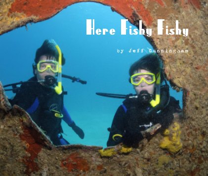 Here Fishy Fishy book cover