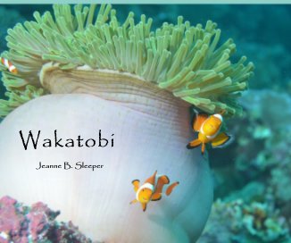 Wakatobi book cover