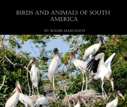 Birds and Animals of south America book cover