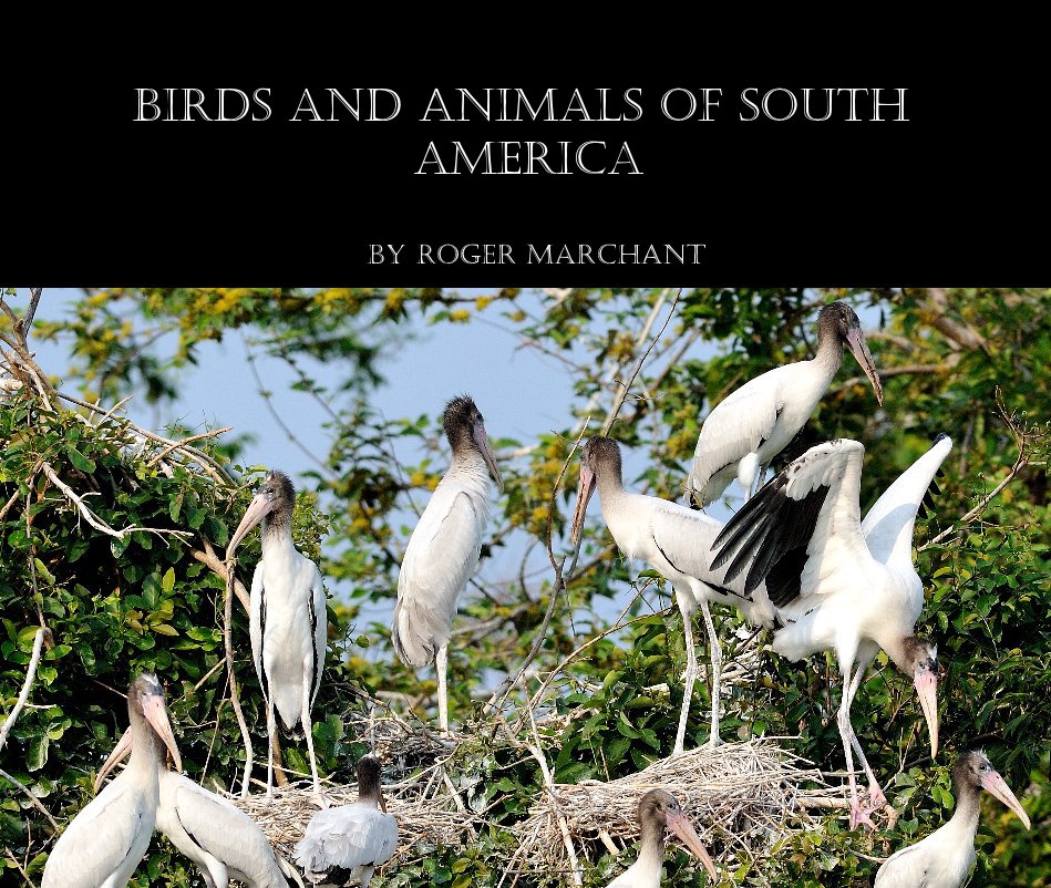 View Birds and Animals of south America by Roger Marchant