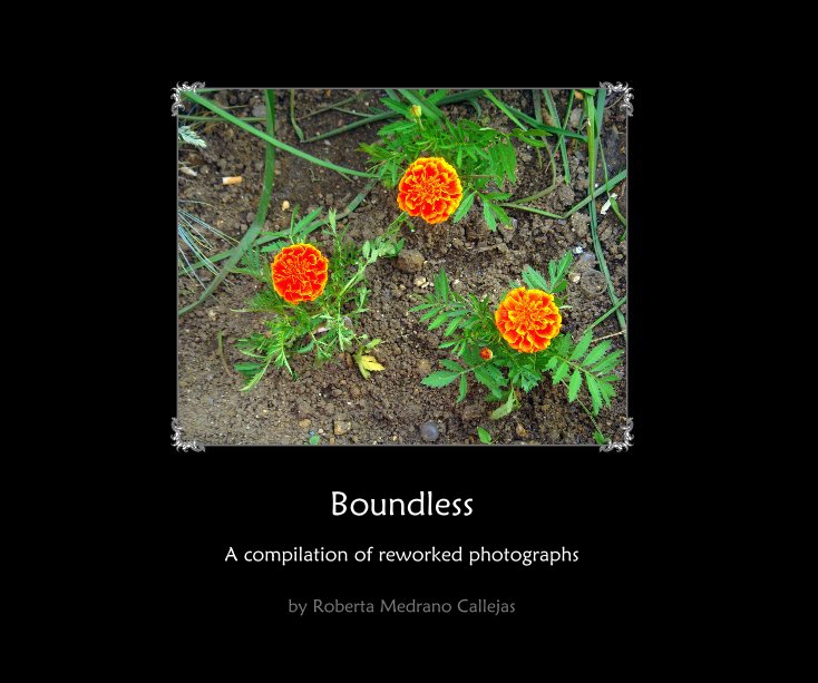 Ver Boundless por Roberta Medrano Callejas