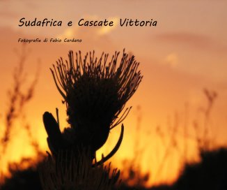 Sudafrica e Cascate Vittoria book cover