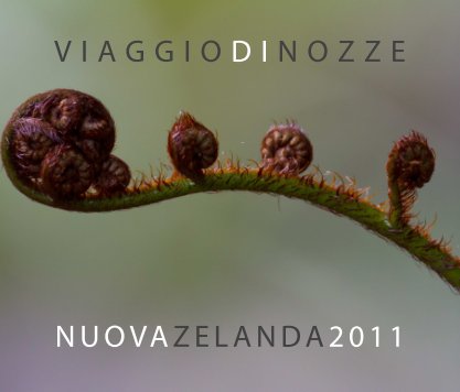 NuovaZelanda2011 book cover