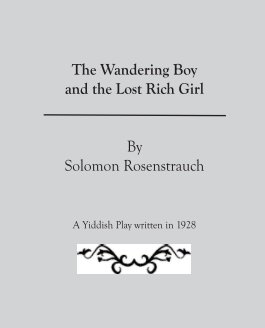 The Wandering Boy and the Rich Girl book cover