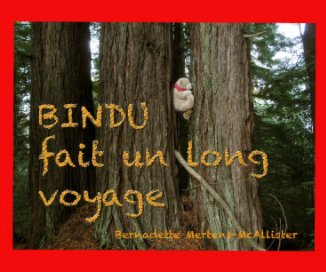 Bindu fait un long voyage book cover