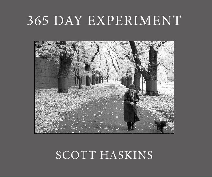 View 365 day Experiment by Scott haskins