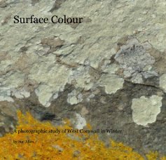 Surface Colour book cover