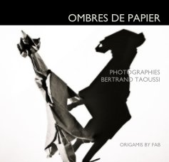 OMBRES DE PAPIER book cover