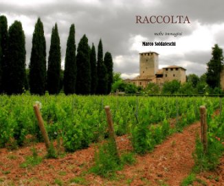 RACCOLTA book cover