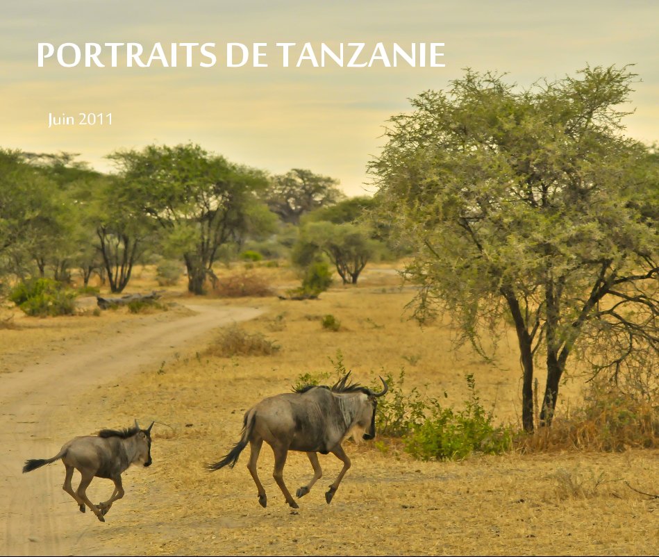 View PORTRAITS DE TANZANIE by Laurent Ceres