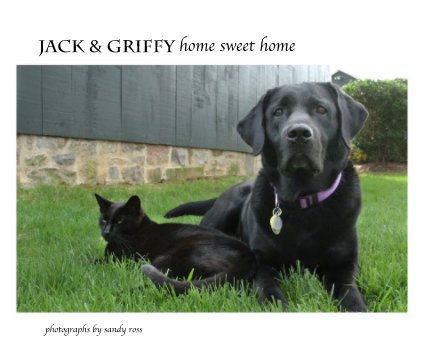Jack & Griffy home sweet home book cover