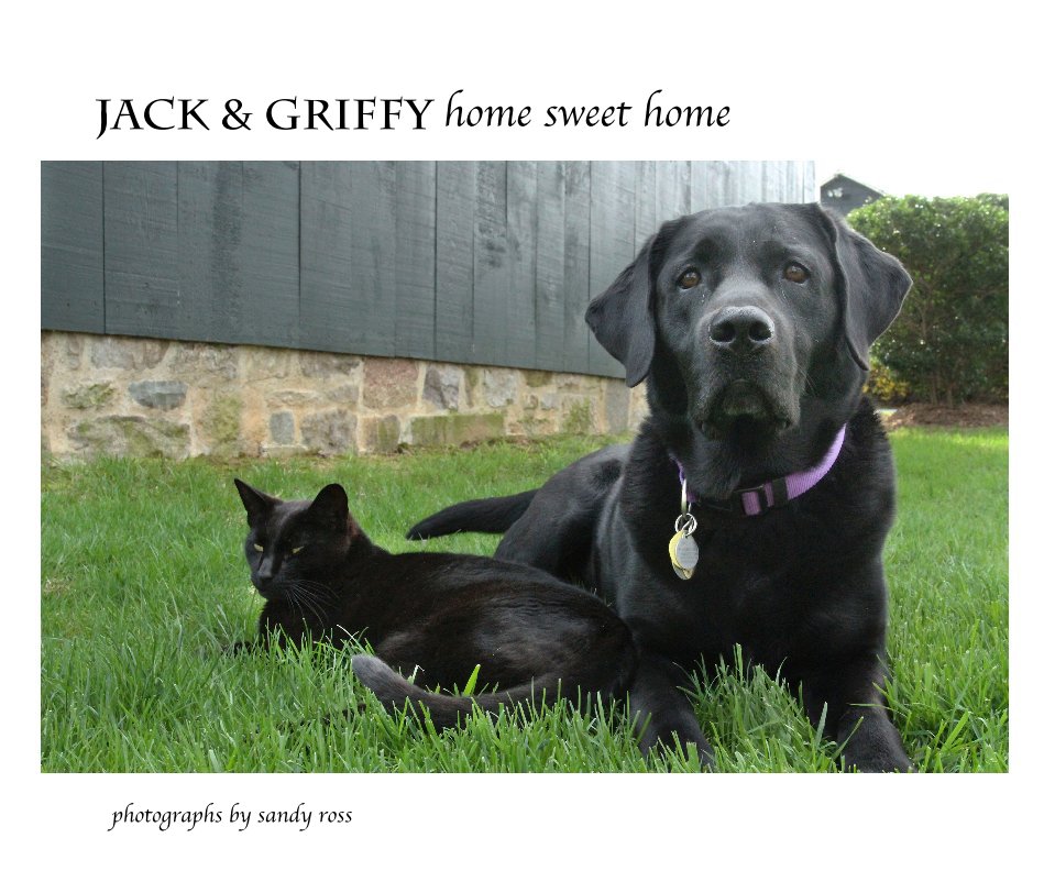 View Jack & Griffy home sweet home by sandy ross
