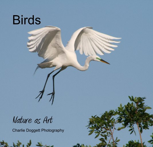 Bekijk Birds op Charlie Doggett Photography