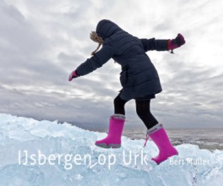 IJsbergen op Urk book cover