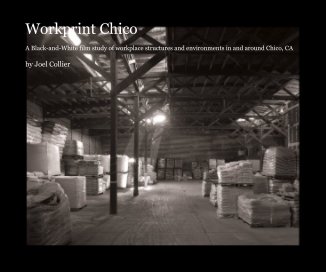 Workprint Chico book cover