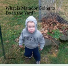 What is Matador Going to Do in the Yard? book cover