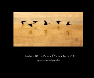 Nature 10+1 - Best of Year One - 2011 book cover