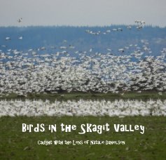 Birds in the Skagit Valley book cover