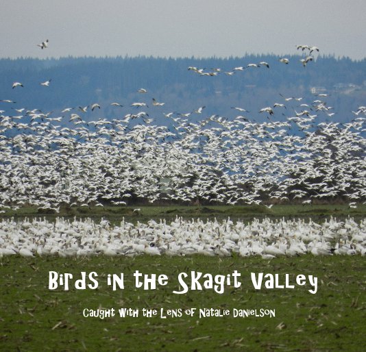 View Birds in the Skagit Valley by Caught with the Lens of Natalie Danielson