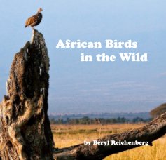 African Birds in the Wild book cover