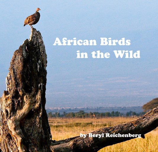 View African Birds in the Wild by Beryl Reichenberg