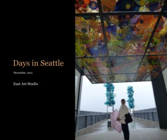 Days in Seattle book cover