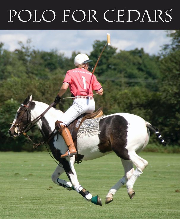 View Polo for Cedars by Maria K. Bell